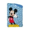 Trapunta Piumone Invernale Topolino Disney Per Letto Singolo J897 -Negozio Per Bambini Disney trapunta piumone invernale topolino disney per letto singolo 1